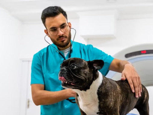 Foto de Dr. Ricardo Almeida